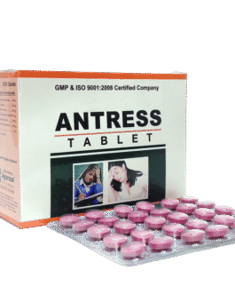 Antress Tablet