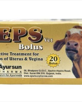 Leps Bolus