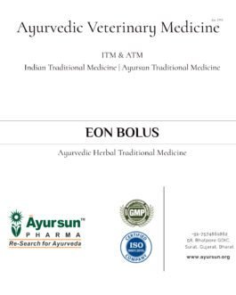 Eon Bolus